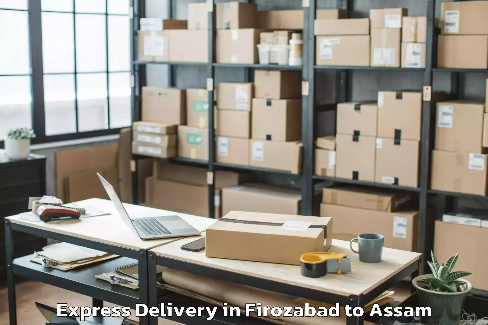 Professional Firozabad to Gossaigaon Pt Express Delivery